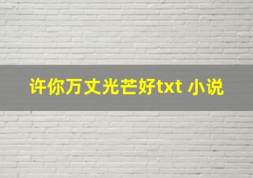 许你万丈光芒好txt 小说